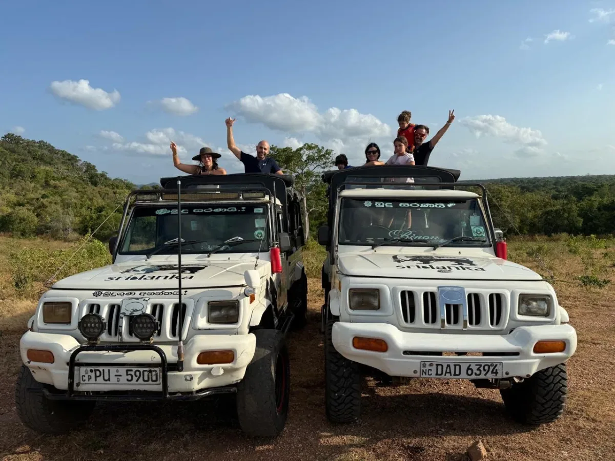 Safari Group Tour
