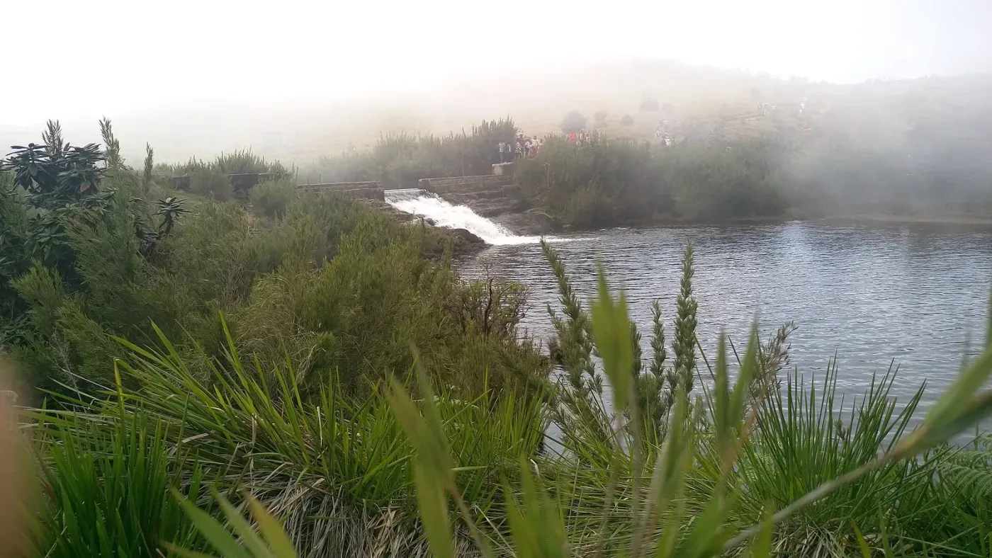 Horton Plains highland plateau